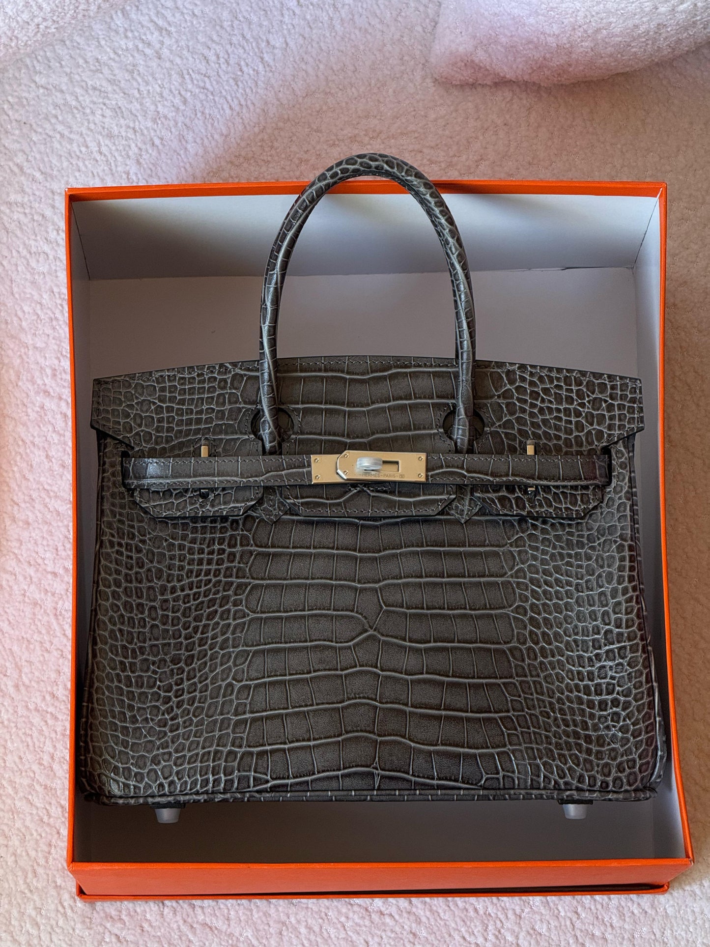 Herms Birkin Croc