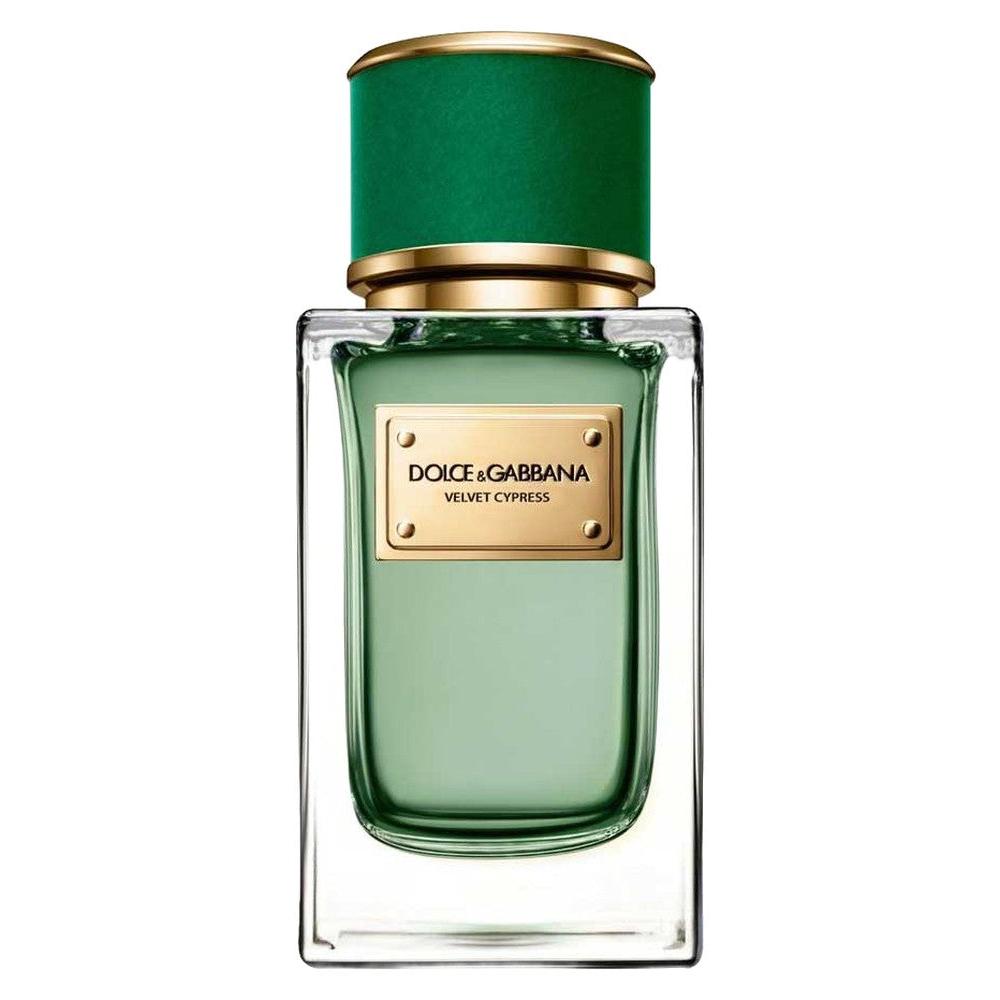 Velvet Cypress D and G For Women And Men 100ml