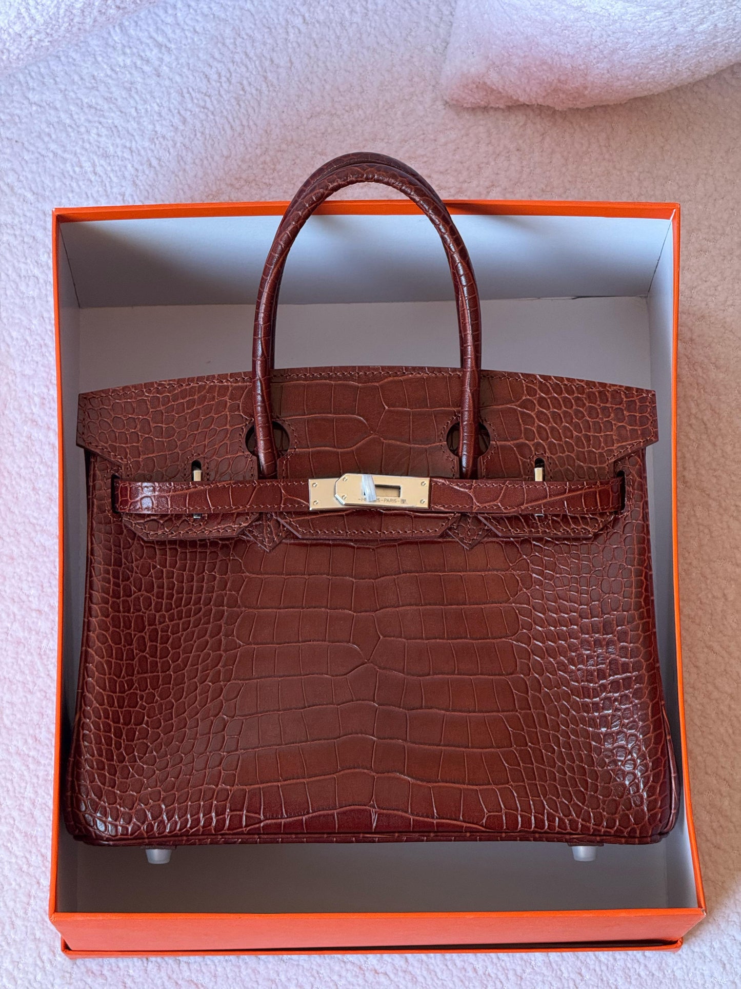 Herms Birkin Croc