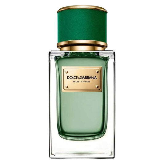 Velvet Cypress D and G For Women And Men 100ml