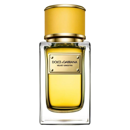 Velvet Ginestra D and G For Women 100ml
